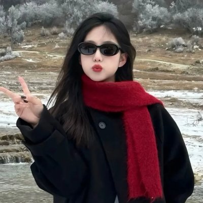 芝加哥警署第十二季