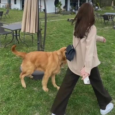 闻香识女人